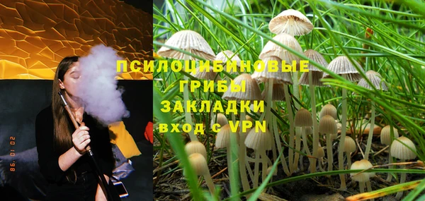 гашик Белокуриха
