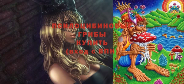 гашик Белокуриха